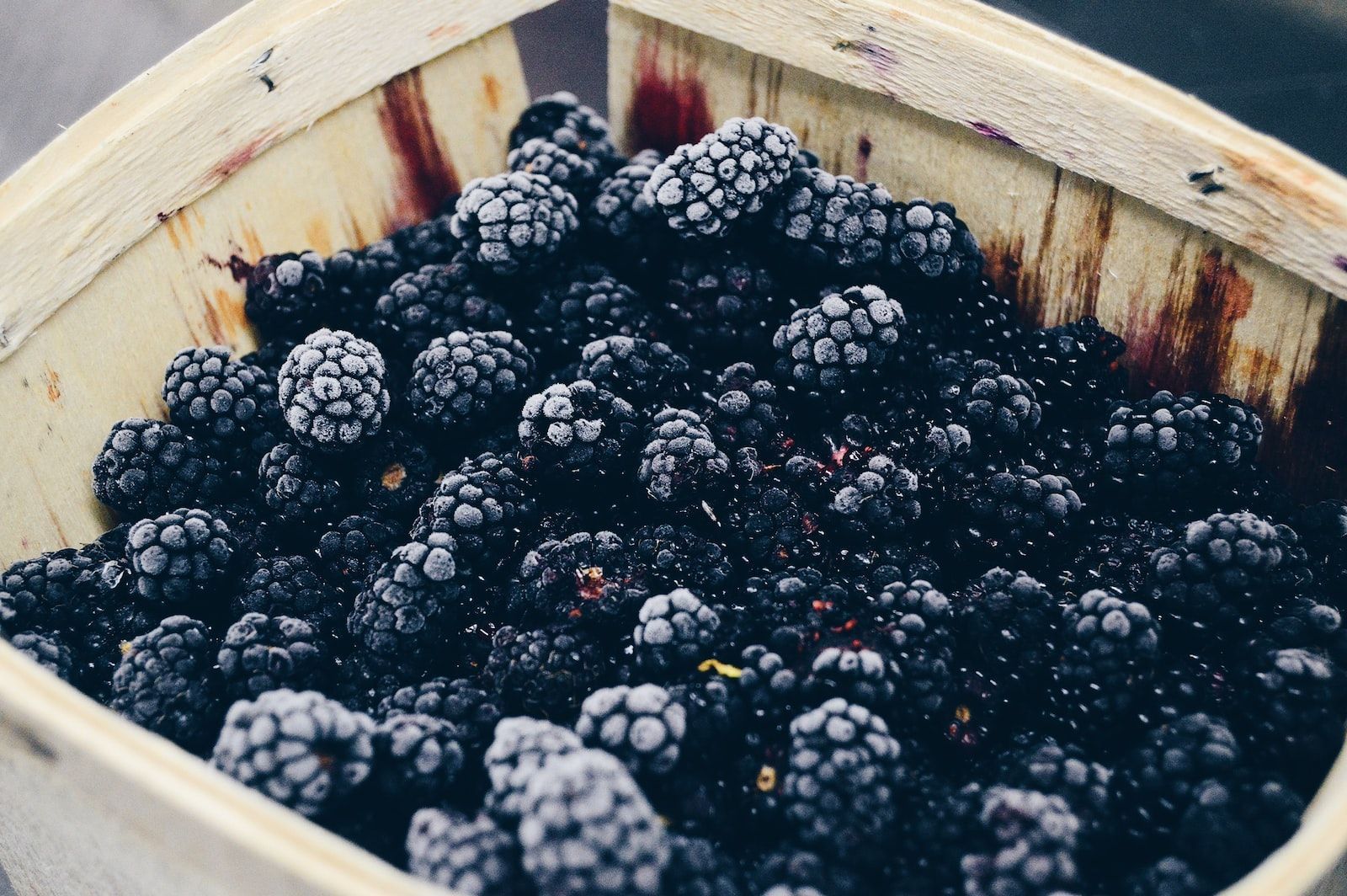 brombeereis selber machen mit eismaschine