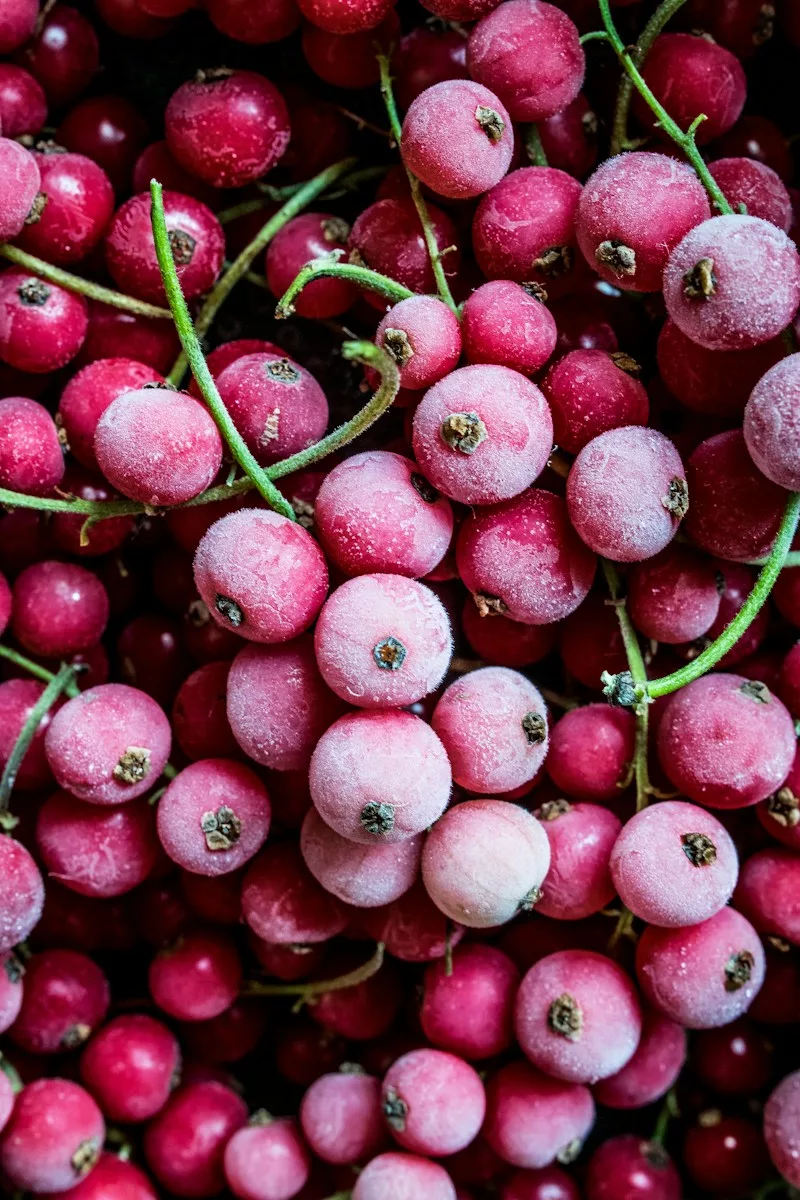 Eis aus gefrorenen Johannisbeeren